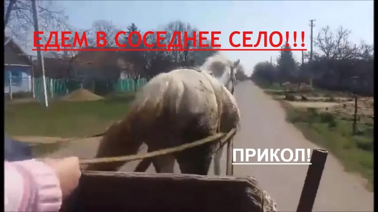 Едем в соседнее село на лошадке. Конь в село соседнее понесёт меня. Лошади в селе Чермен. Лошадь села на Кол от забора.