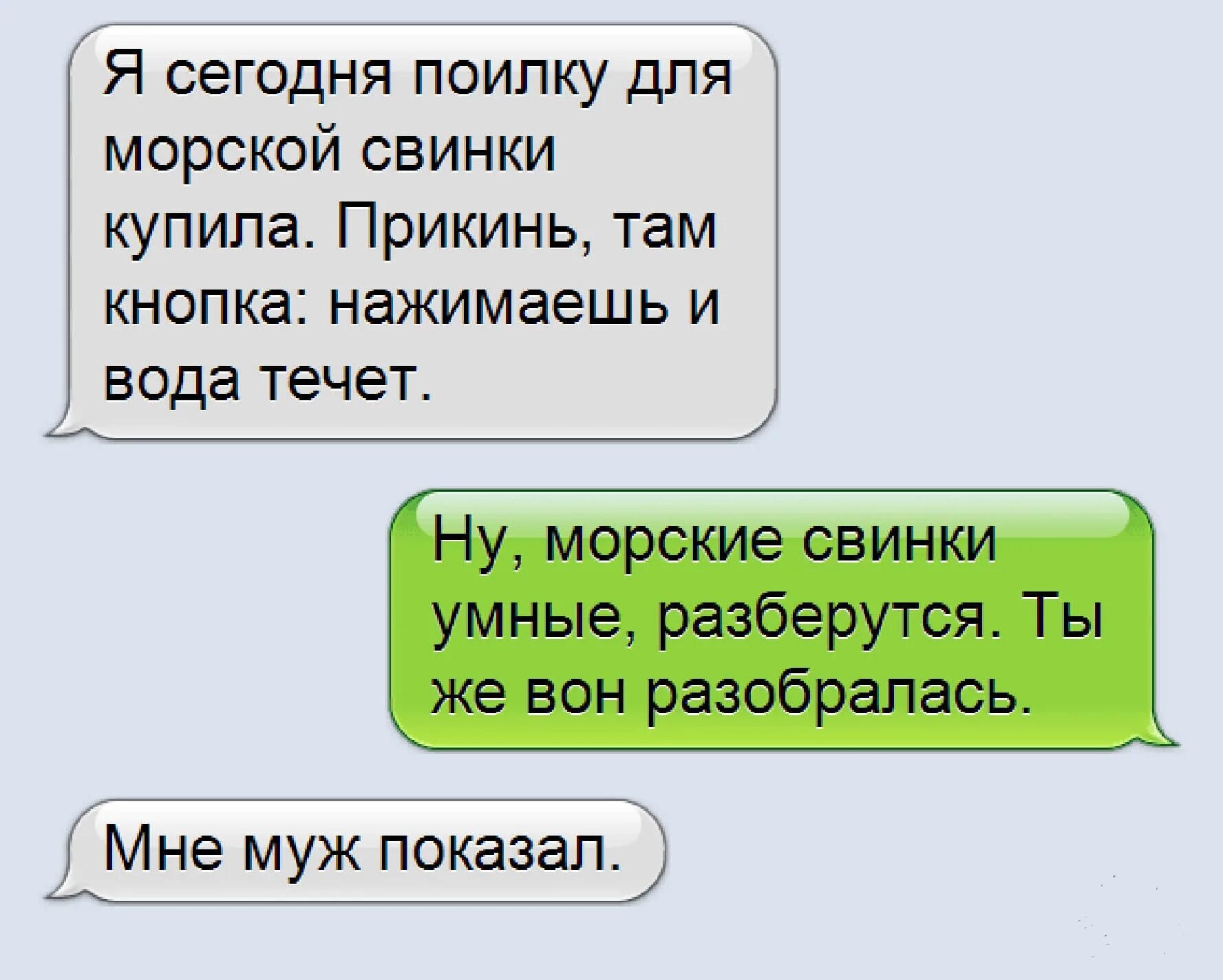 Смс кинь. Прикольные смс. Прикольные переписки. Самые прикольные переписки. Приколы смс переписки.