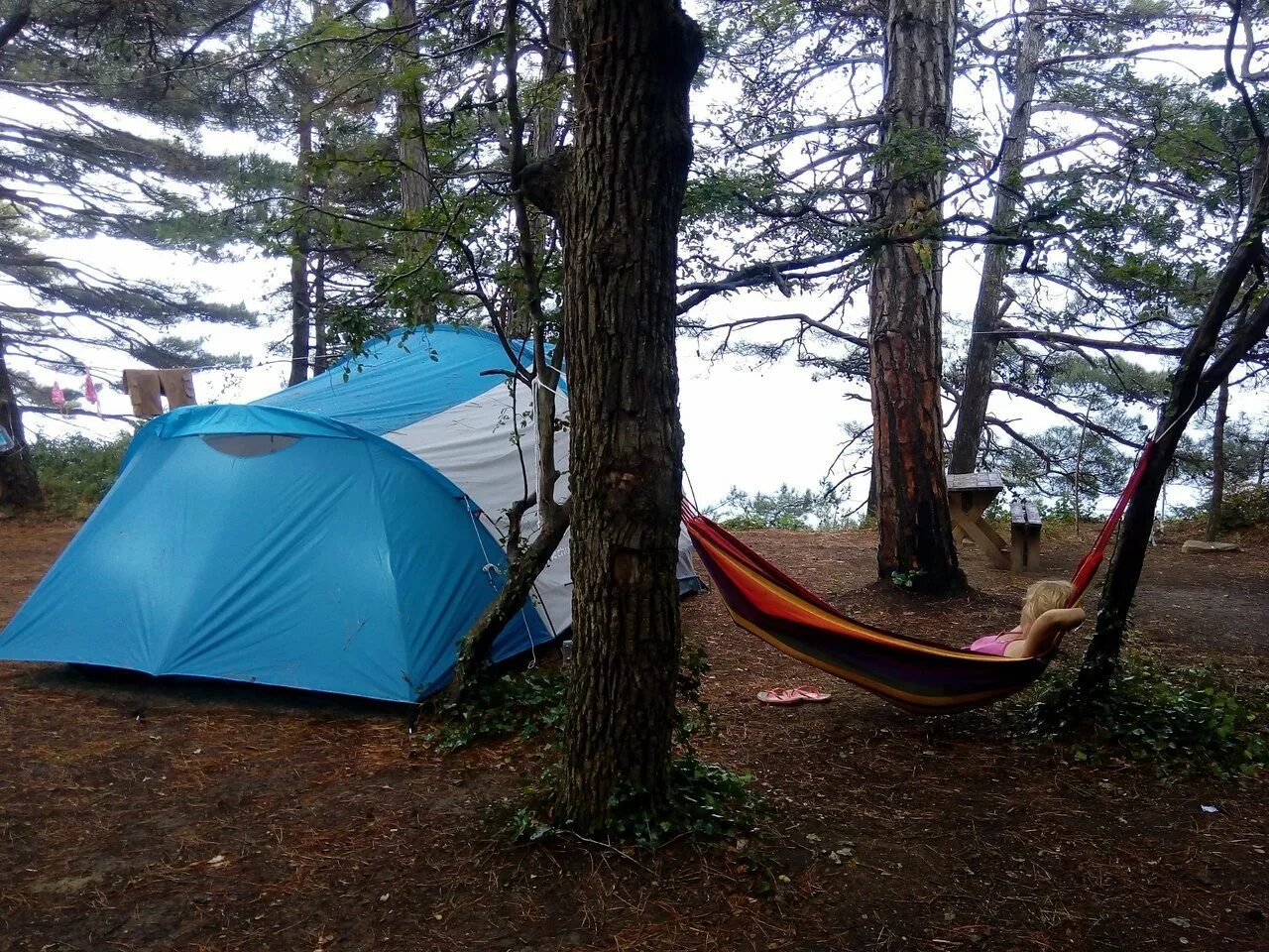 Russian camping. Кемпинг тихий Архипо-Осиповка. Сосновый Бор Архипо-Осиповка кемпинг. Кемпинг Архипо Осиповка. Назарова дача Архипо-Осиповка.