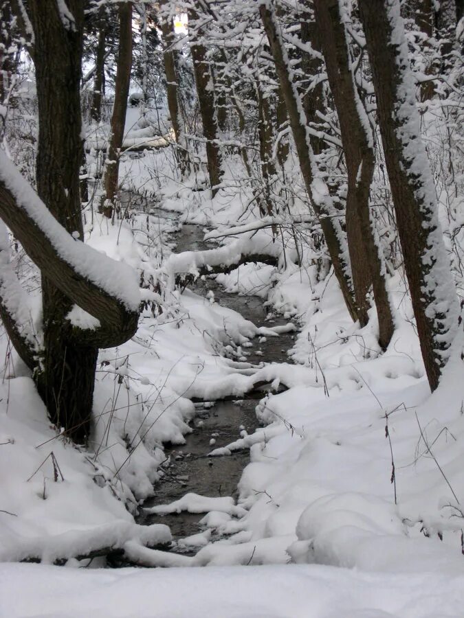 Календарной зимы конец. 28 февраля конец зимы. Февраль природа. Последний вечер зимы. Календарной зимы конец.