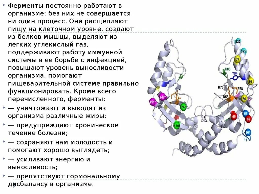 Ферменты зачем. Ферменты и их роль в организме человека. Ферменты презентация. Роль ферментов в организме человека. Ферменты в организме человека презентация.