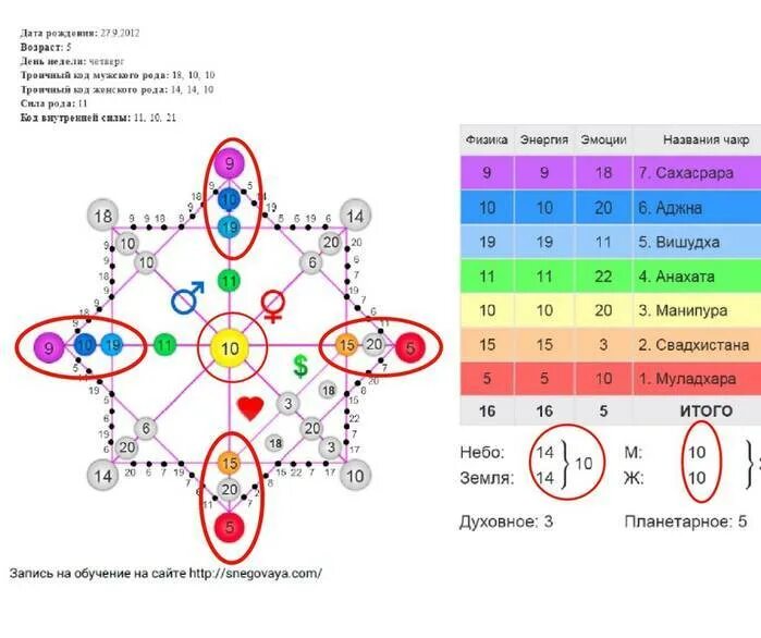 Описание по дате рождения. Матрица судьбы чакры чакры. Карта здоровья в матрице судьбы расшифровка чакр матрица. Расшифровка чакр матрицы. Чакры в матрице судьбы расшифровка.