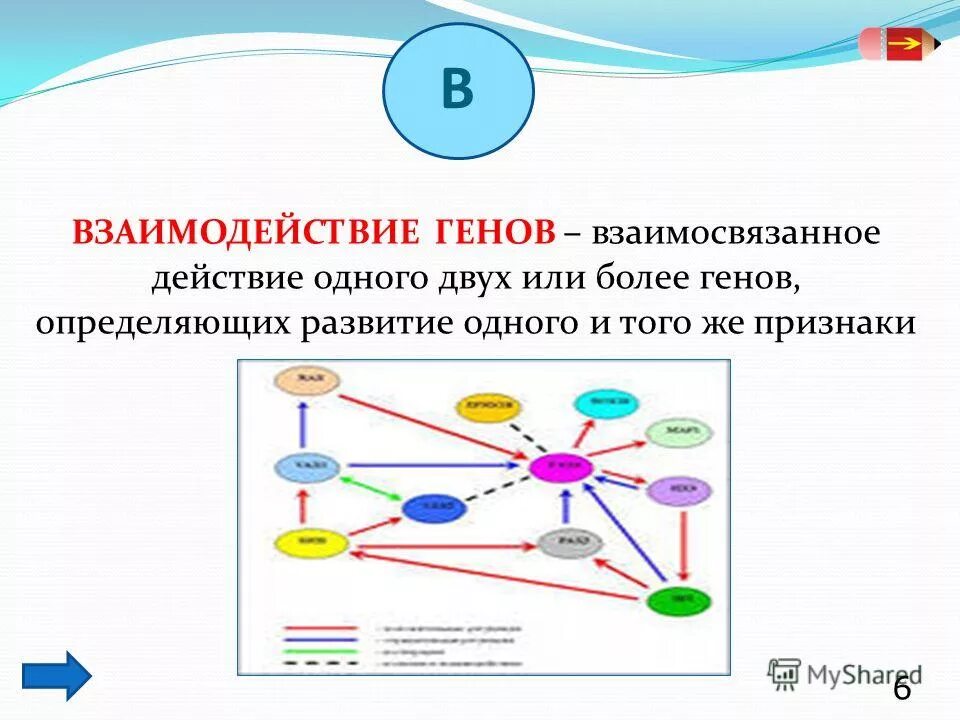 Пара генов определяющих развитие признаков. Ген характеристика. Гены определяющие развитие взаимоисключающих признаков называются. Развитие взаимоисключающих признаков. Задачи на полимерное взаимодействие генов.