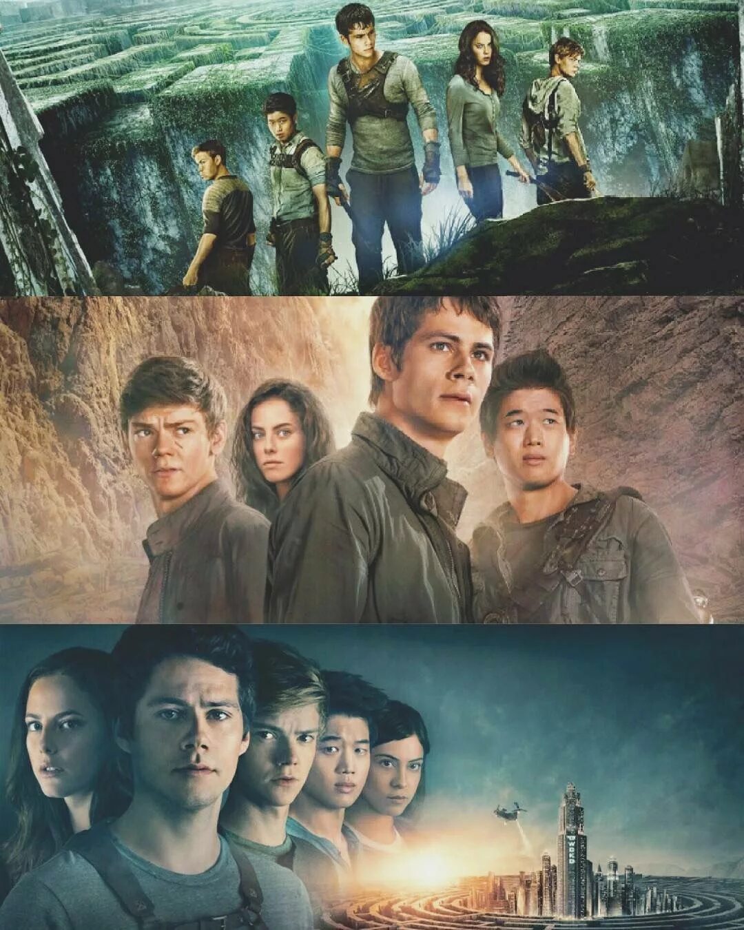 Минхо the Maze Runner. Фф бегущий в лабиринте т и