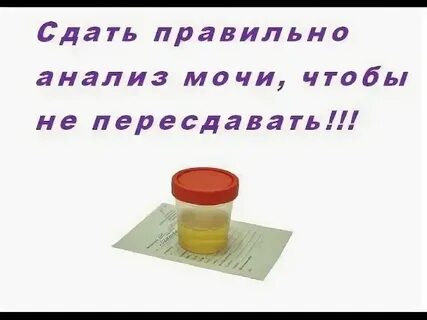 Сдать или сдать как правильно пишется слово