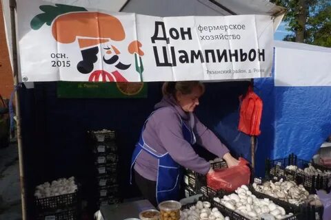 Рязань в день работа