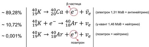 Атомная масса калия 40