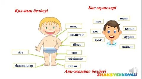 Менің мүшесі шалбарыма сай емес (фото)