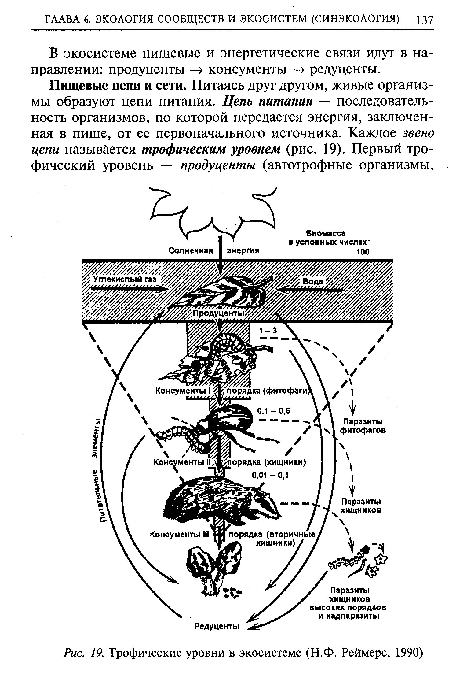 Трофические уровни агроэкосистемы. Трофические уровни экосистемы таблица. Трофические уровни экосистемы биология ЕГЭ. Трофические уровни экосистемы редуценты.