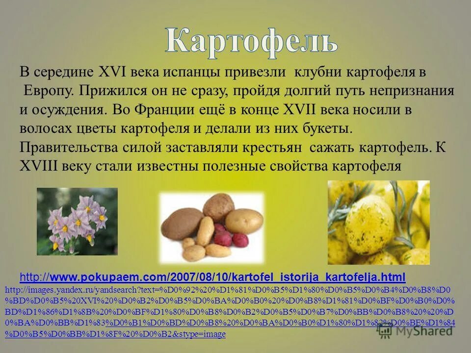 культурные растения картошка. из какой страны была привезена. страны по числу рабов. из какой страны была привезена. из какой страны была привезена.