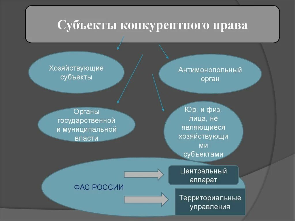 Субъекты национального законодательства. Характеристика субъекта.