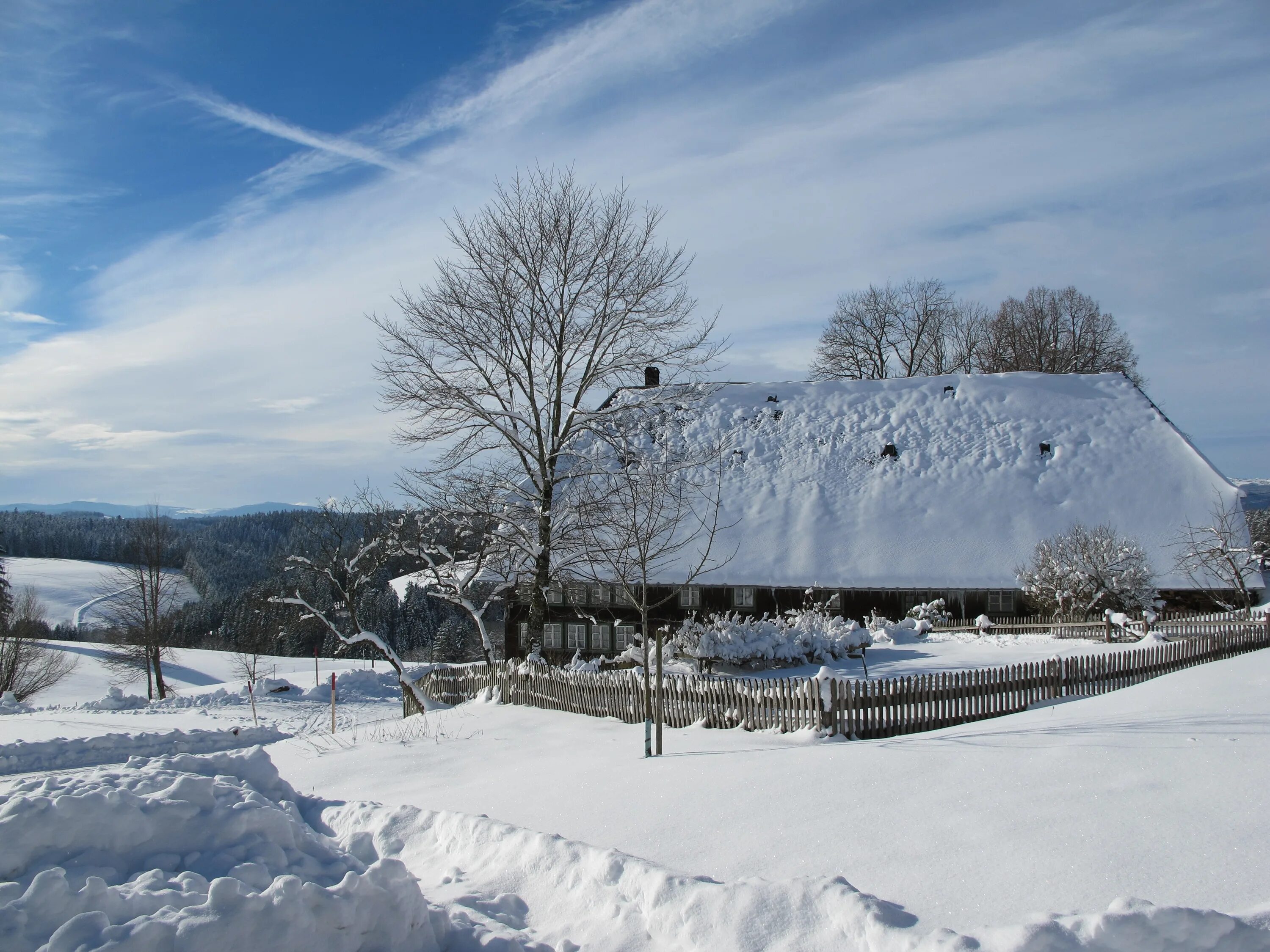 Cold and snowy. Зима картинки. Картинки зимы красивые для детей. Идёт ли в Шварцвальде снег. Зима погода Яр.