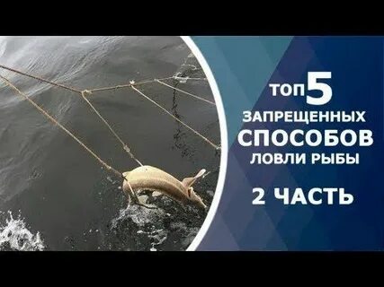 Топ запрещенных