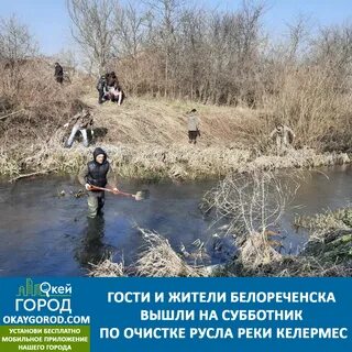 Очистка дона