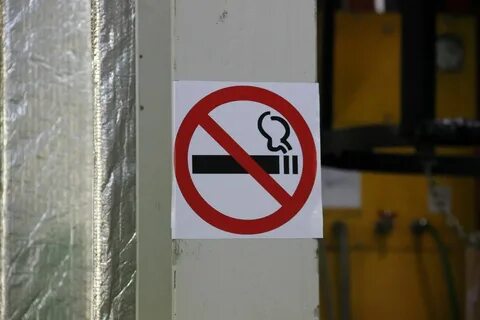 В квартире запрещено