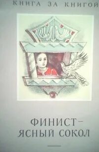 Сокол дневник