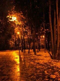 Парк ночью осень