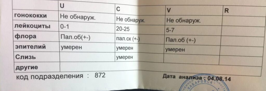 Норма пцр анализов мазка. Пцр на гонококки. Пцр на гонококки. Анализ на 12 инфекций. Пцр на гонококки.