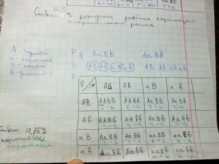 В семье родился голубоглазый ребенок