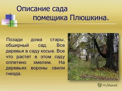 Сад тянувшийся позади дома