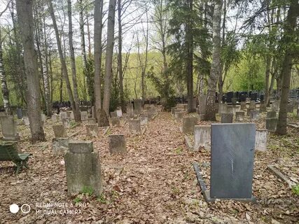 Тарантино пастернак