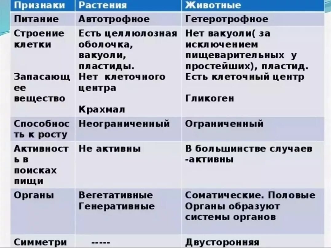 Гетеротрофное питание клеток