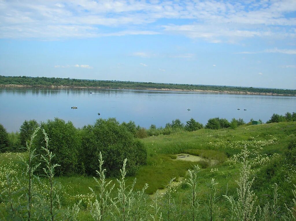 Г курья. Усть Курья Алтайский край. Усть Курья Котласский район. Деревня Усть-Курья Котласский район. Котлас деревня Усть Курья.