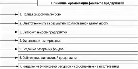 Общая характеристика финансов организаций