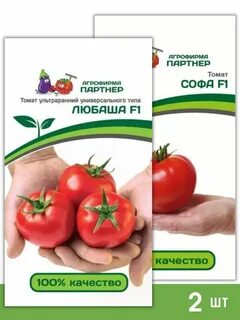 Урожайность томата любаша