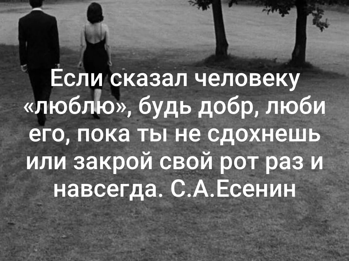 Бывший сказал что любит другую. Если человек любит. Если тебя не любят цитаты. Если человенлюбит. Сложно сказать люблю цитаты.