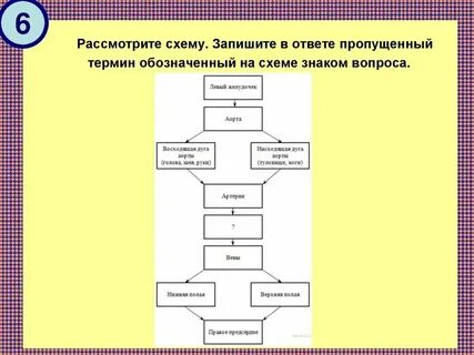 Рассмотрите схемы 275