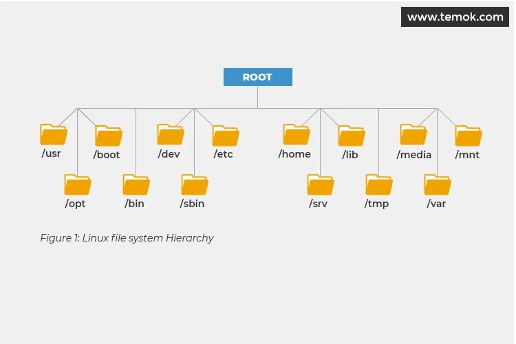 File system model