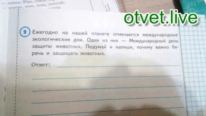 Чем работа почтальона полезна обществу 4. Ежегодно на нашей планете отмечают международные экологические дни. Какую работу выполняет почтальон и чем его работа полезна обществу. Почему важно беречь и защищать животных нашей земли. Почему нужно беречь и защищать животных 4 класс ВПР.