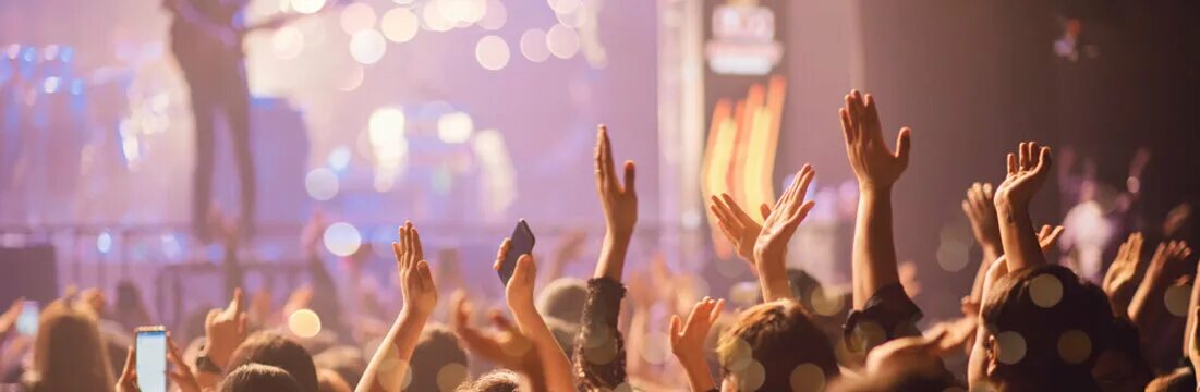 Go on a concert
