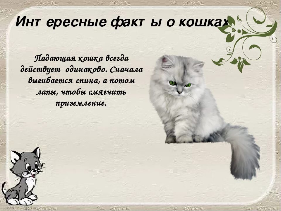 Придумать загадку про кошку 1 класс