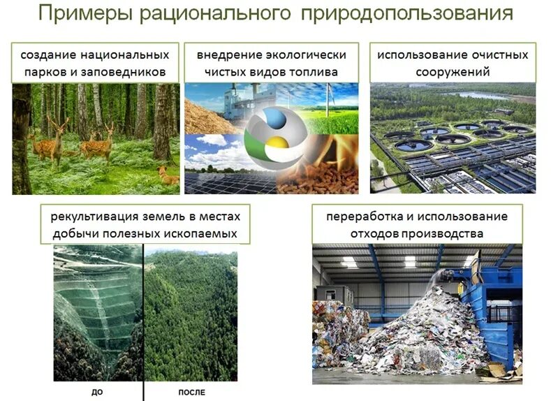 Доклад о состоянии природных ресурсов