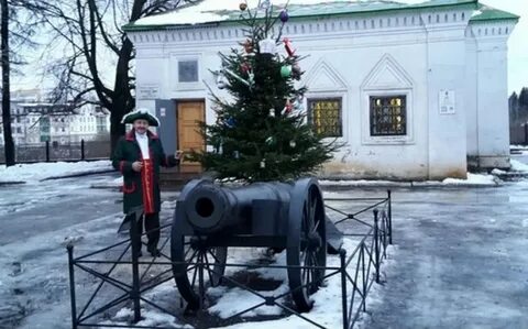 Петровские ели
