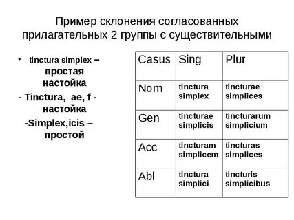 Прилагательные 2 группы склоняются по