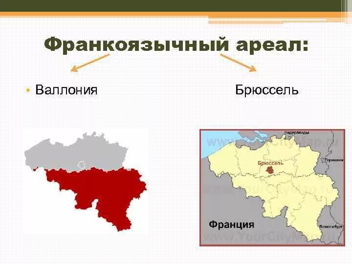 Какой язык в бельгии является официальным. Какой язык в бельгии является официальным