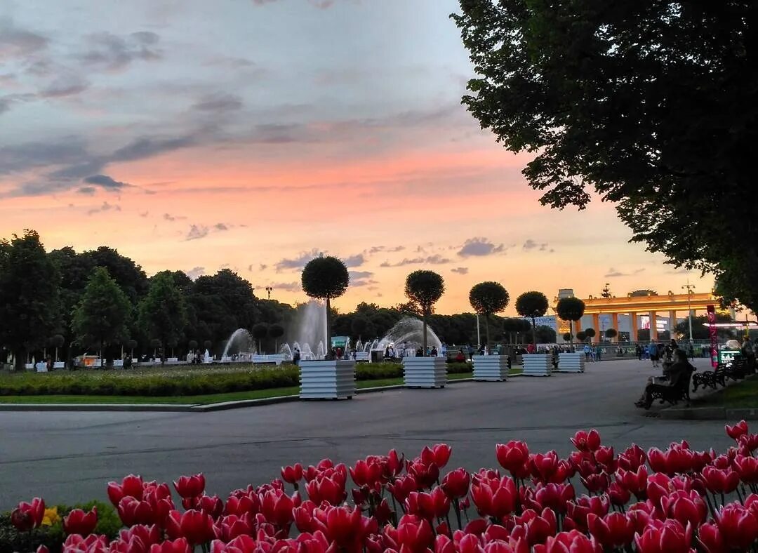 Московское горький парк. Парк Горького Москва. Парк культуры Горького Москва. ЦПКИО Горького Москва. Парки Москвы парк Горького.