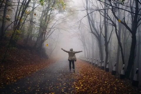 Осень грусть тоска
