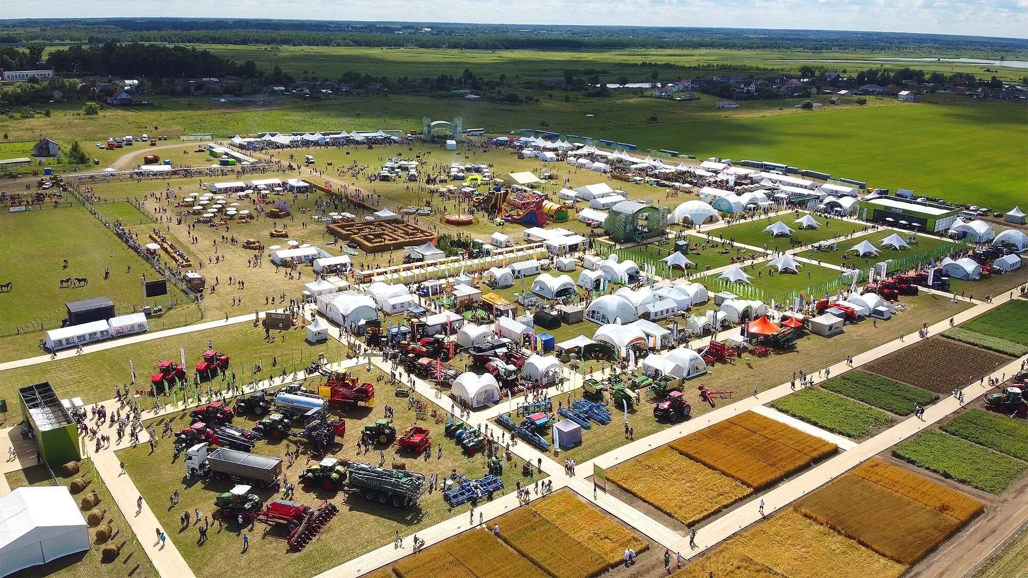 Выставка день поля. День поля 2023 алтайский край. День поля 2023. День поля 2023. День поля 2023.