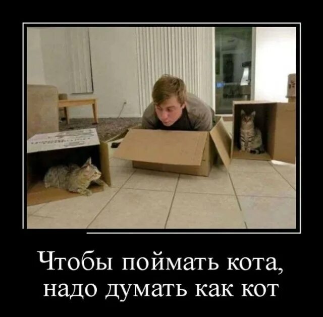 Как не думать как избавиться. Поймать. надо поймать. кота надо поймать. думать надо.