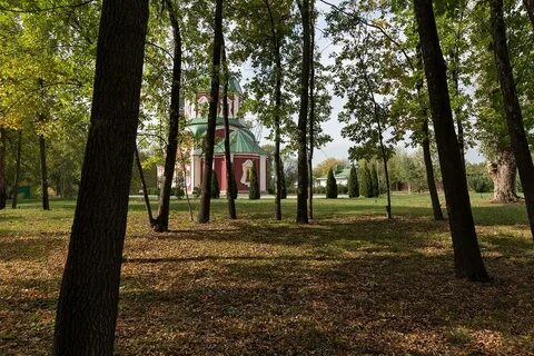 Репное воронеж