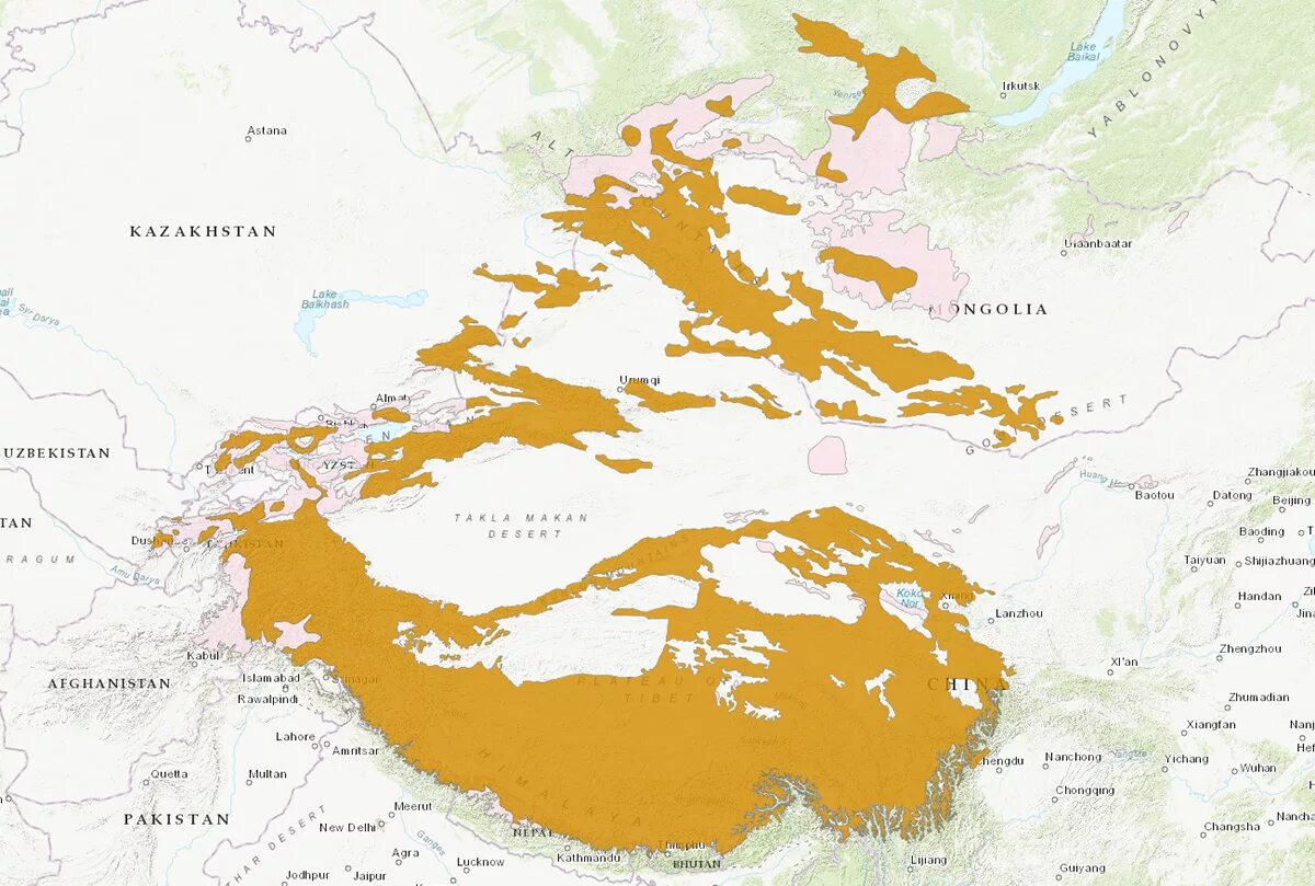 Снежный барс ареал обитания. Ареал снежного барса. Ареал снежного барса. Снежный барс ареал обитания. Ареал обитания снежных барсов в мире.