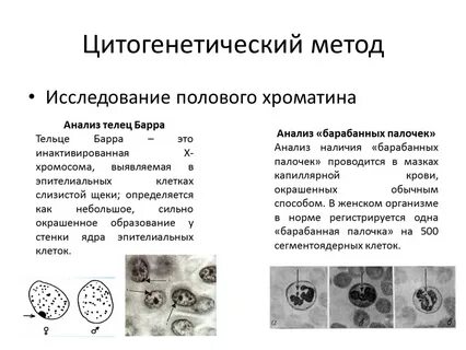 Изучение полового