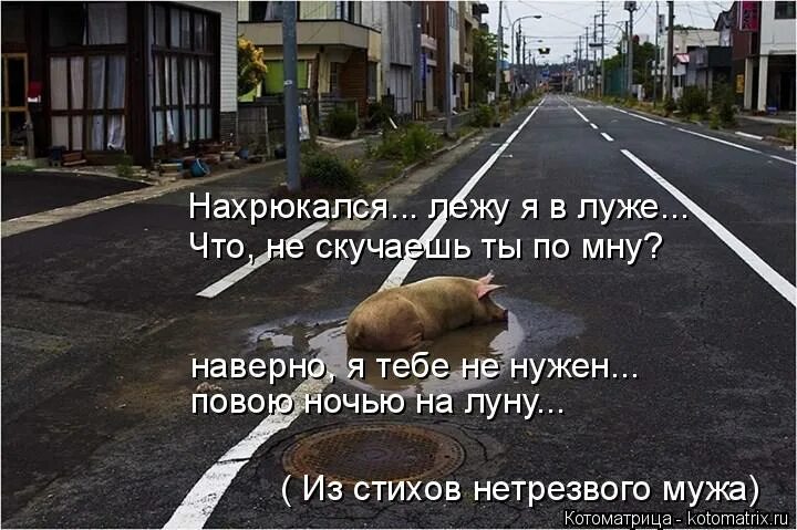 впросырь значение слова. альденте прикол. альденте впросырь. лексическое значение. аль денте впросырь.