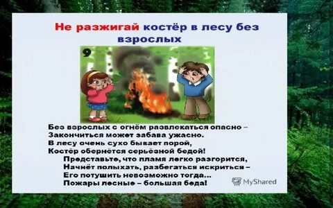 Береги лес от пожара текст 4 класс