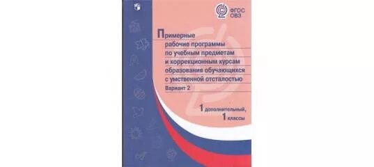 Аооп ноо с умственной отсталостью. Вариант 4.3 ФГОС НОО. Комплект примерных рабочих программ для 1 класса ФГОС ОВЗ. Вариант ФГОС образования обучающихся с умственной отсталостью. Программа ФГОС для детей с умственной отсталостью.