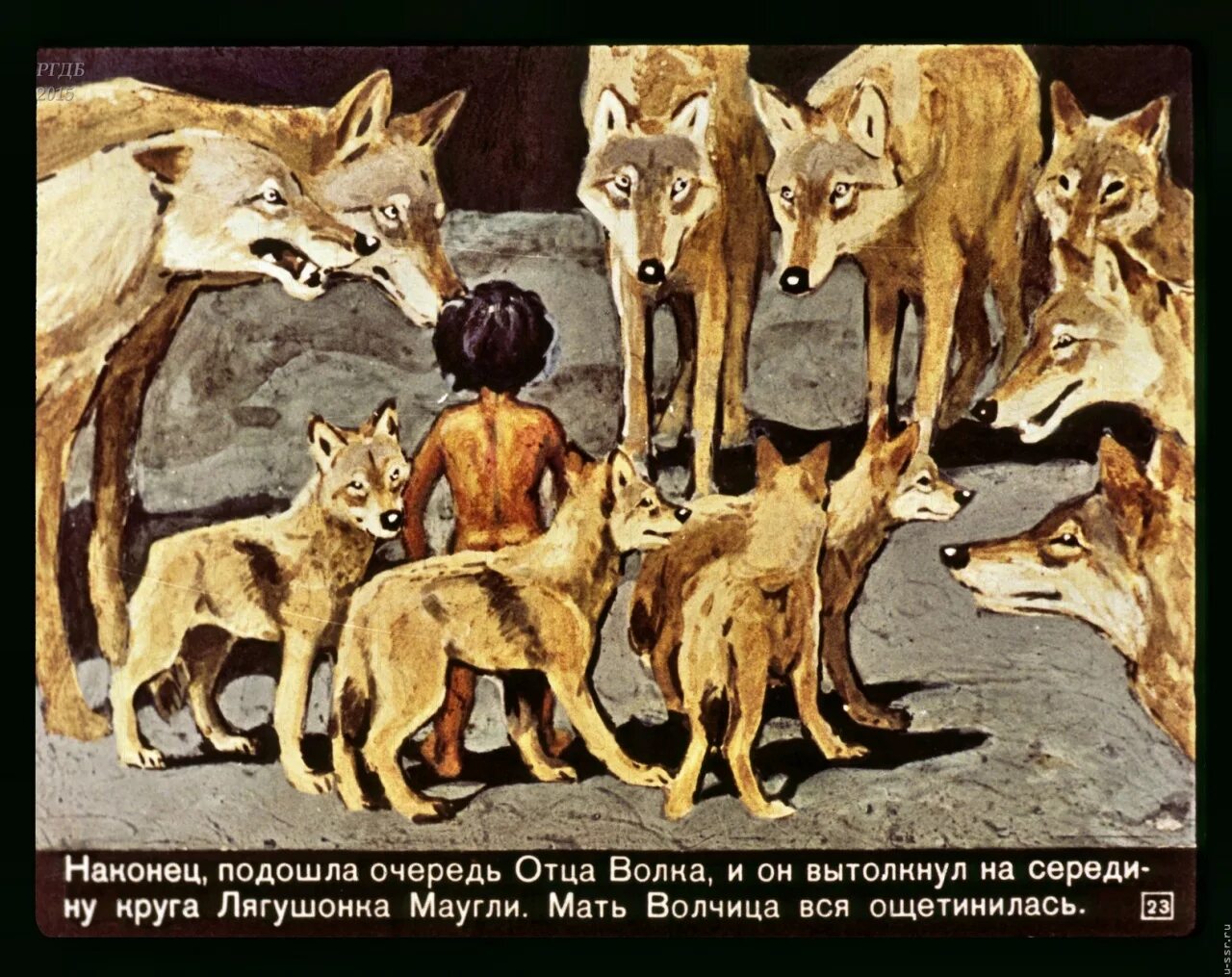 Как звали волка который стал отцом маугли. Мать волчица маугли. маугли (р.киплинг),худ.г.никольский и а.келейников,1964. маугли и стая волков. волчица из маугли.